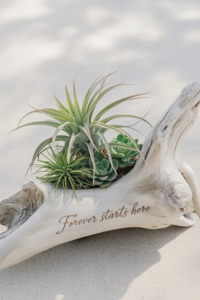 30 Simple Outdoor Wedding Decor Ideas for 2025 25 Driftwood and Air Plants