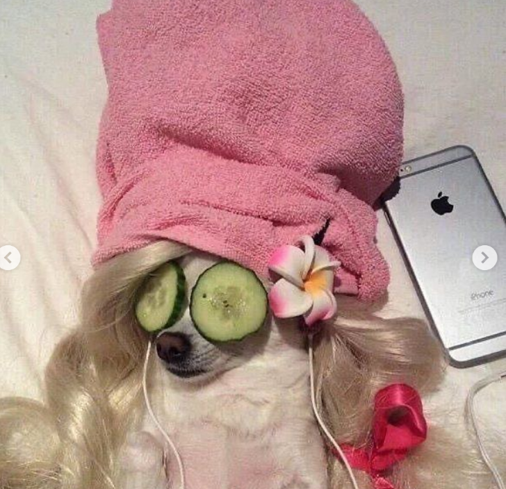 The 16 Funniest Reaction Pictures You Need to Save Right Now 2 Screenshot 2025 10 29 211624