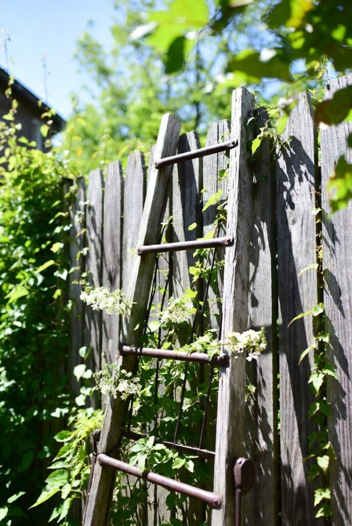 21 Best DIY Trellis Ideas For The Gardener In You 5 Rustic Branch and Twine Trellis