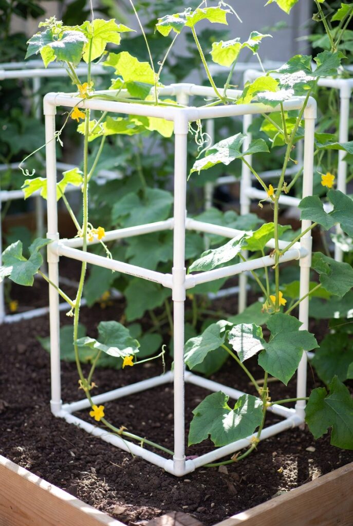 21 Best DIY Trellis Ideas For The Gardener In You 6 Vintage Ladder Trellis