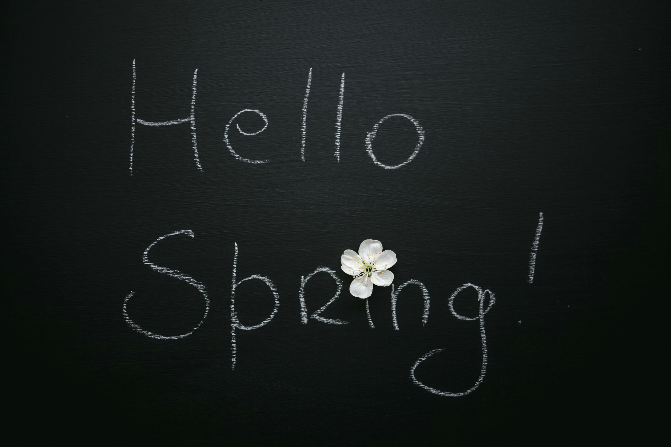 11 Spring Chalkboard Ideas to Welcome the Season with Style 2 Image