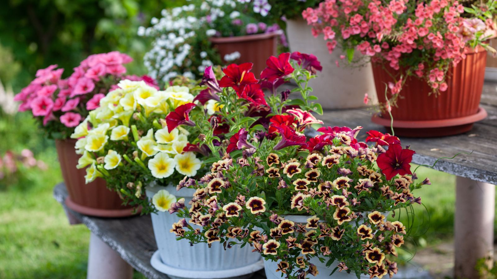13 Lawn & Garden Decor Tips for Beginners (Plus Extra Ideas to Make Your Yard Shine) 8 15 Gorgeous Spring Container Ideas to Try This Year